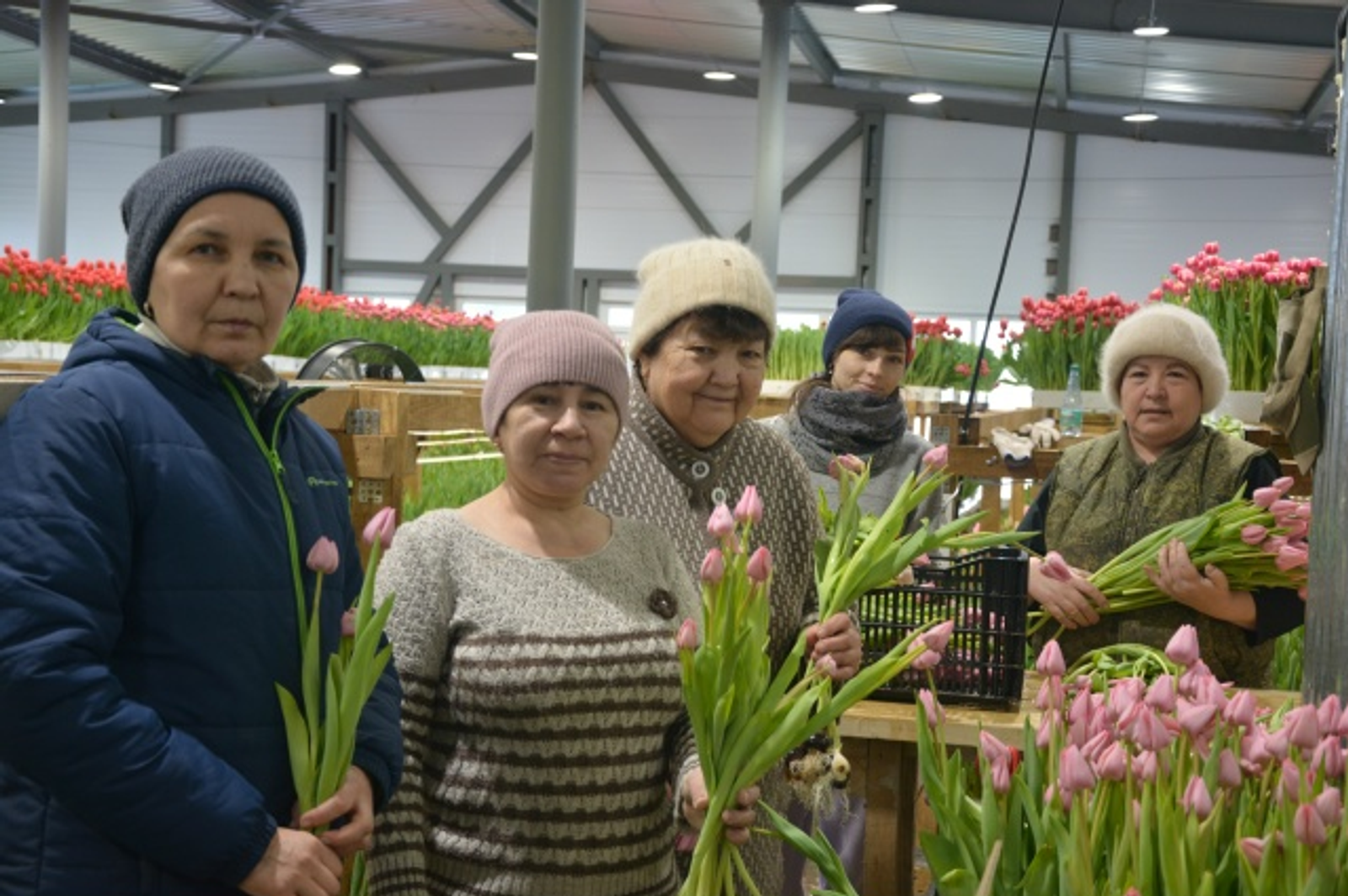 Ғафури ере ләлә сәскәләренә күмелгән