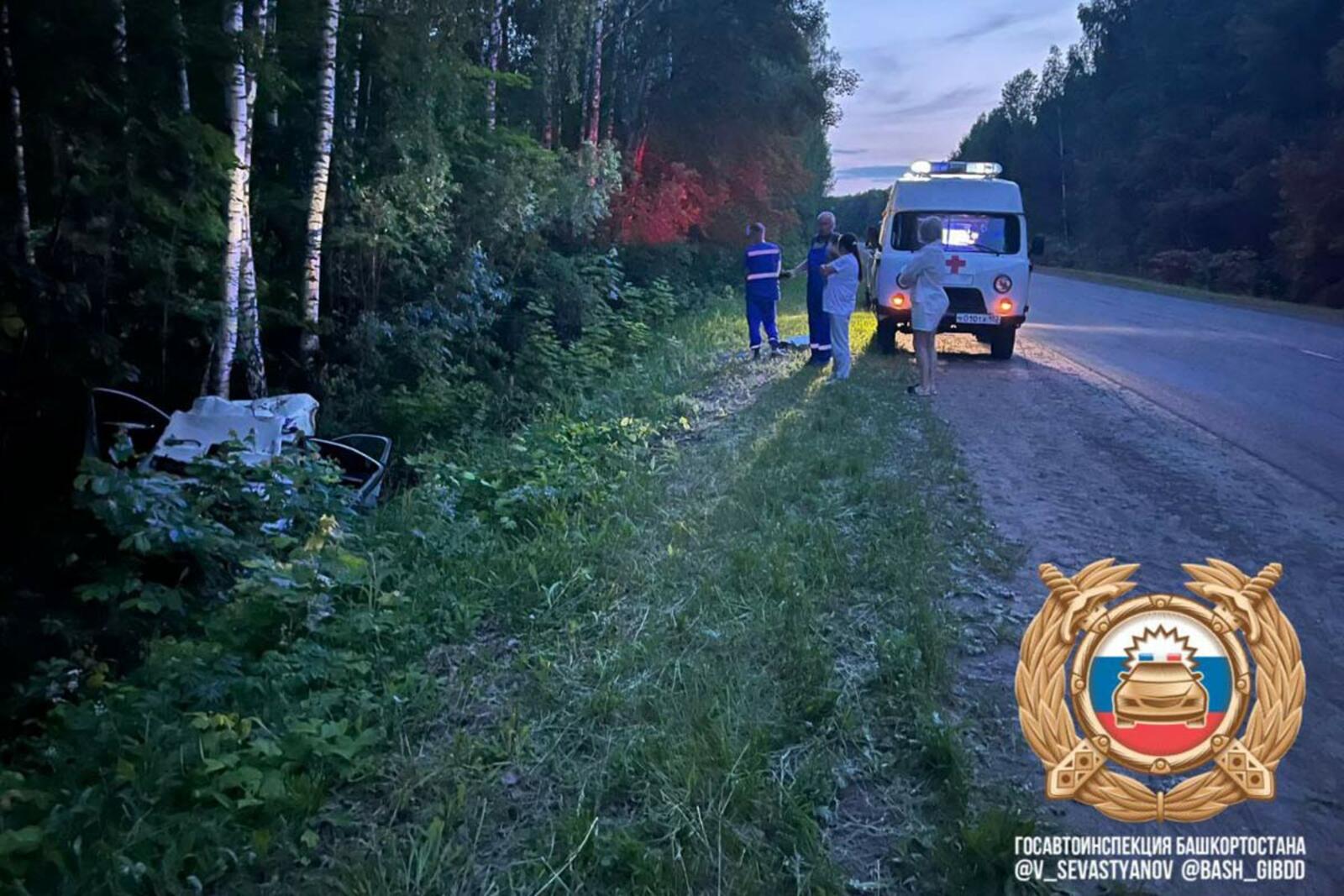 Ҡыр хайуаны баланы харап иткән...