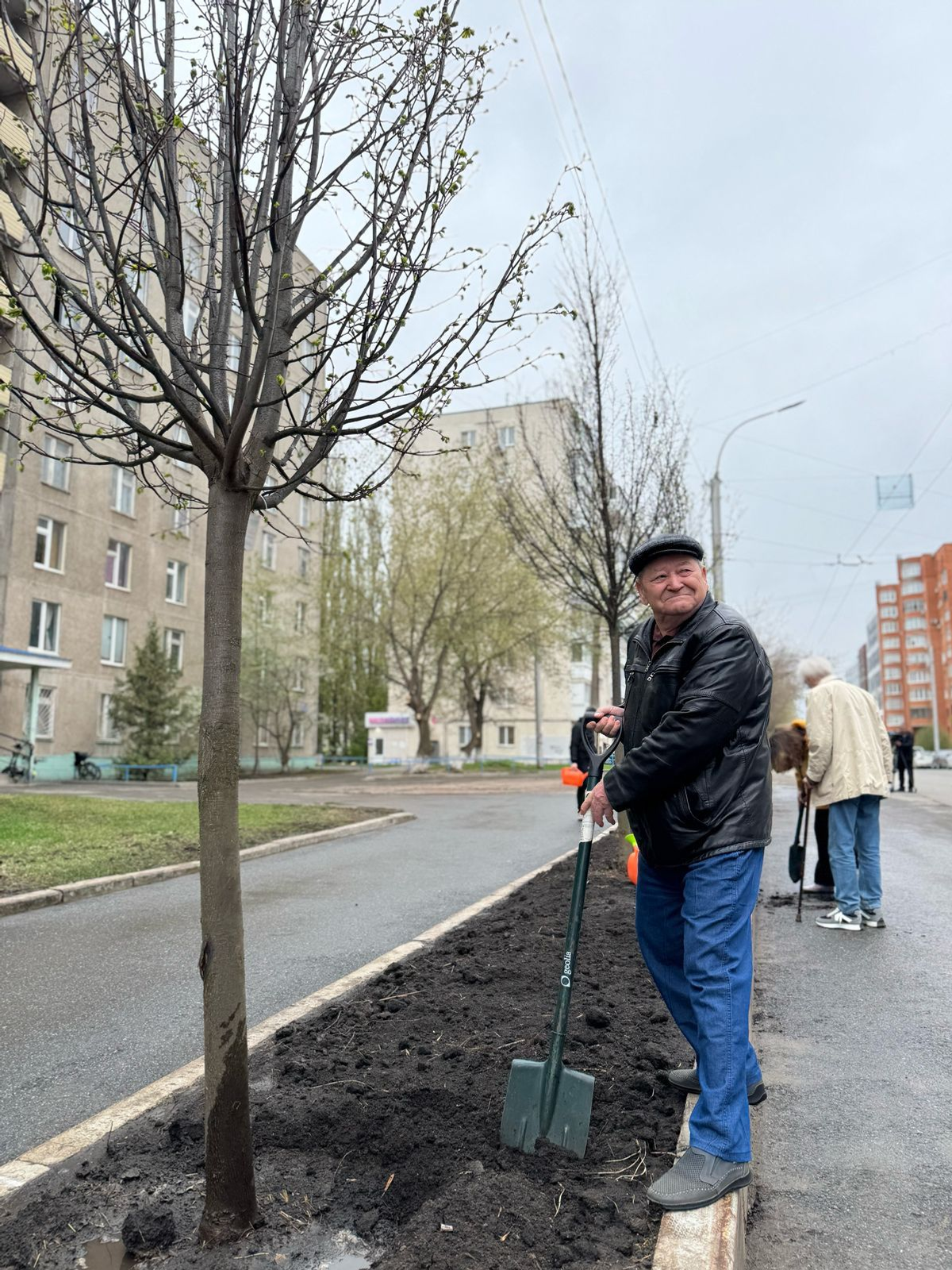 Йүкә аллеяһы барлыҡҡа килде