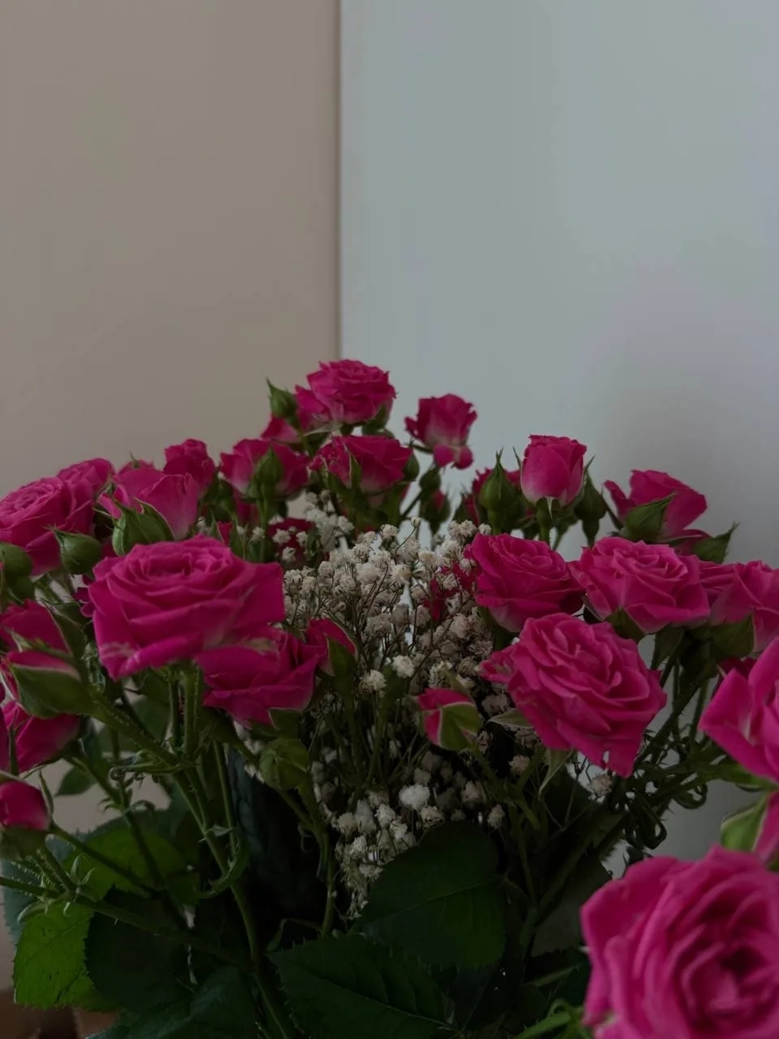 Бүләк сәскәләрҙе ташламағыҙ: розаны картуфта тамырландырабыҙ