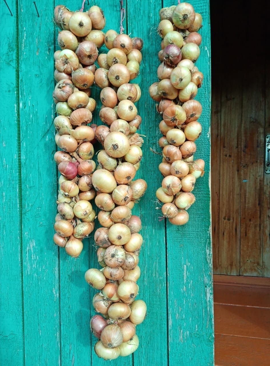 Һуғанды нисек һаҡларға?