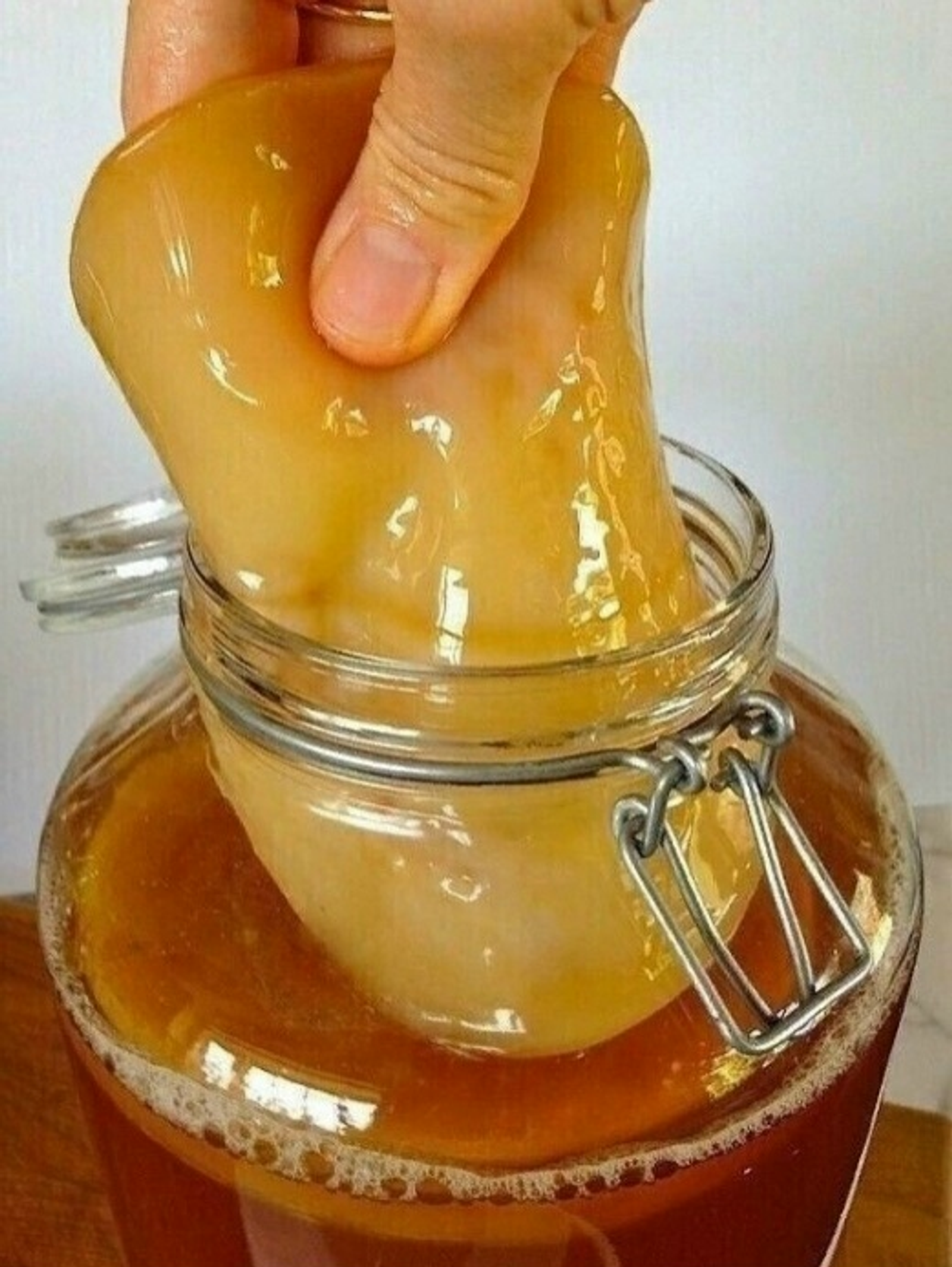 Банкала сәй бәшмәге үҫтерәйек