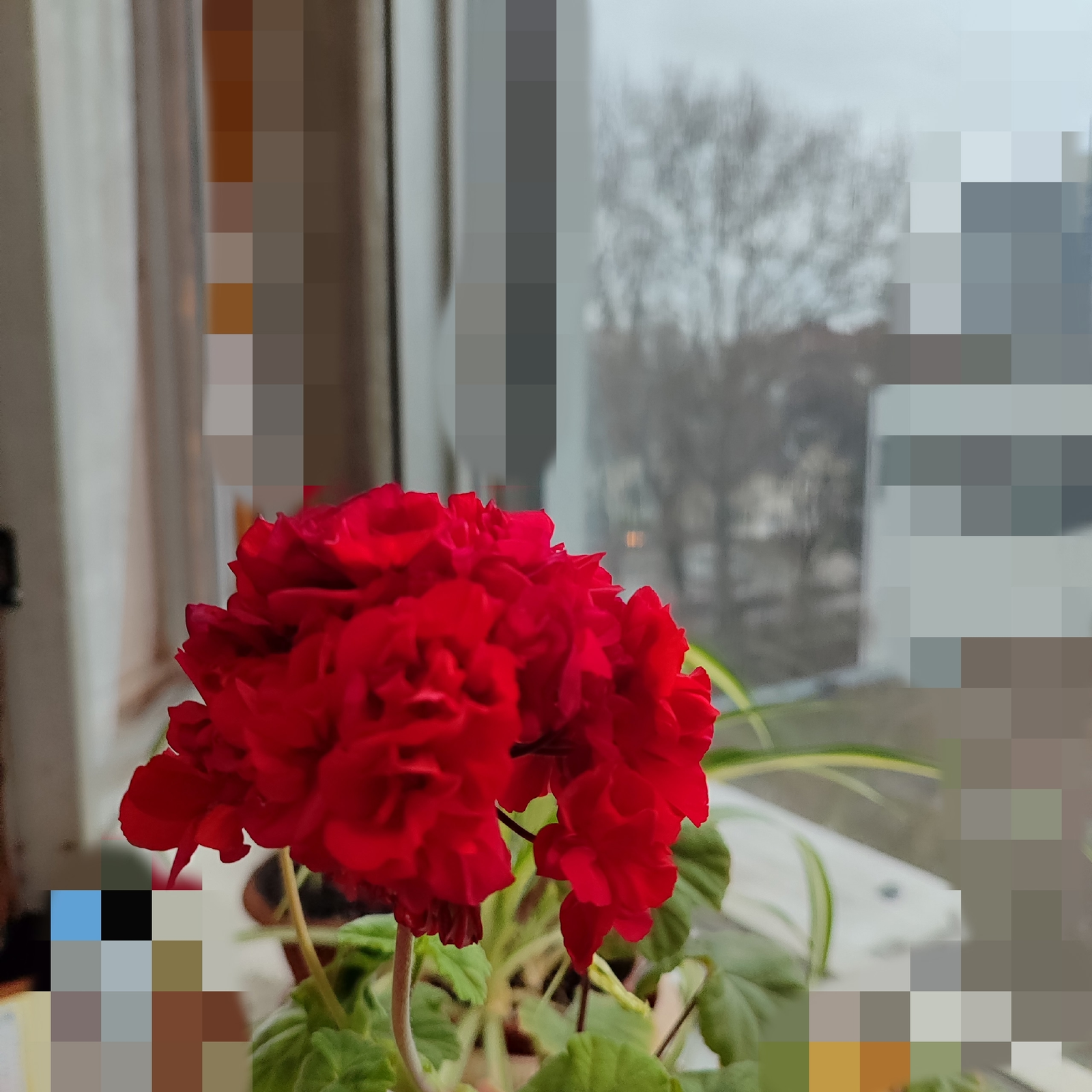 Күҙ тейеүҙән һаҡланыу өсөн уҡыла