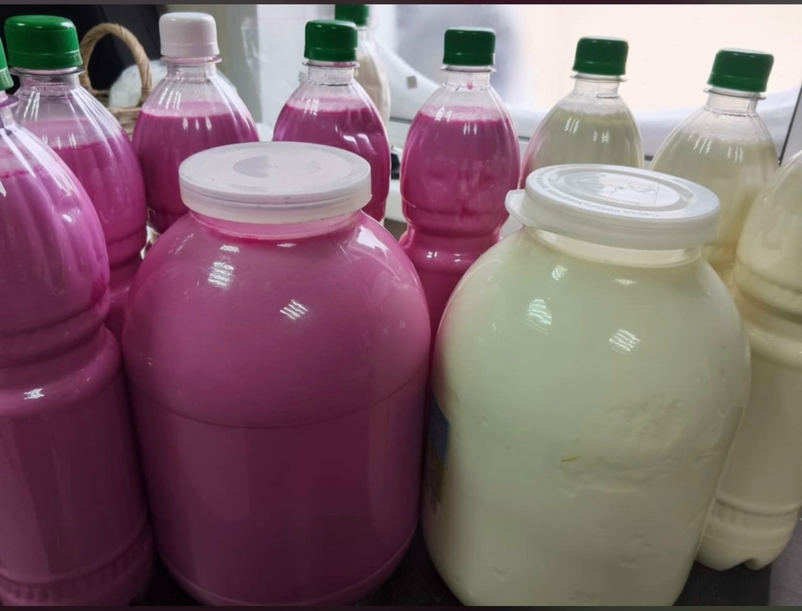 Сөгөлдөрлө ҡатыҡ организмды таҙарта