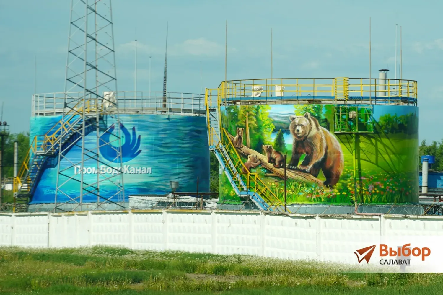 Бөрйән айыуҙары Салауатҡа килгән...