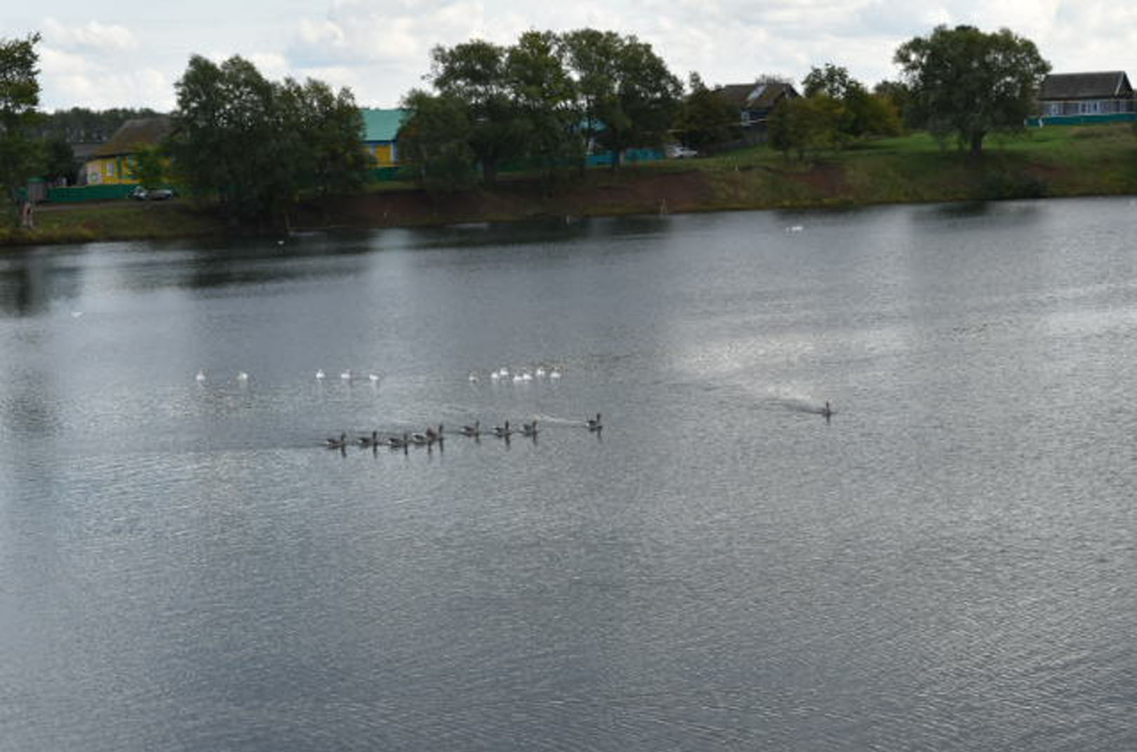 Аҡҡошто атып үлтергәйне...