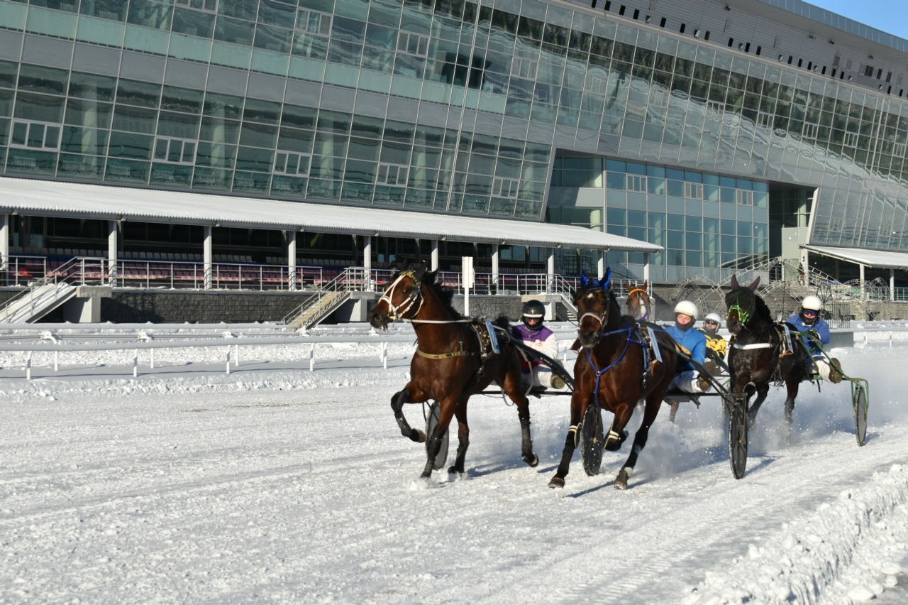 "Аҡбуҙат" ипподромына ярҙам кәрәк