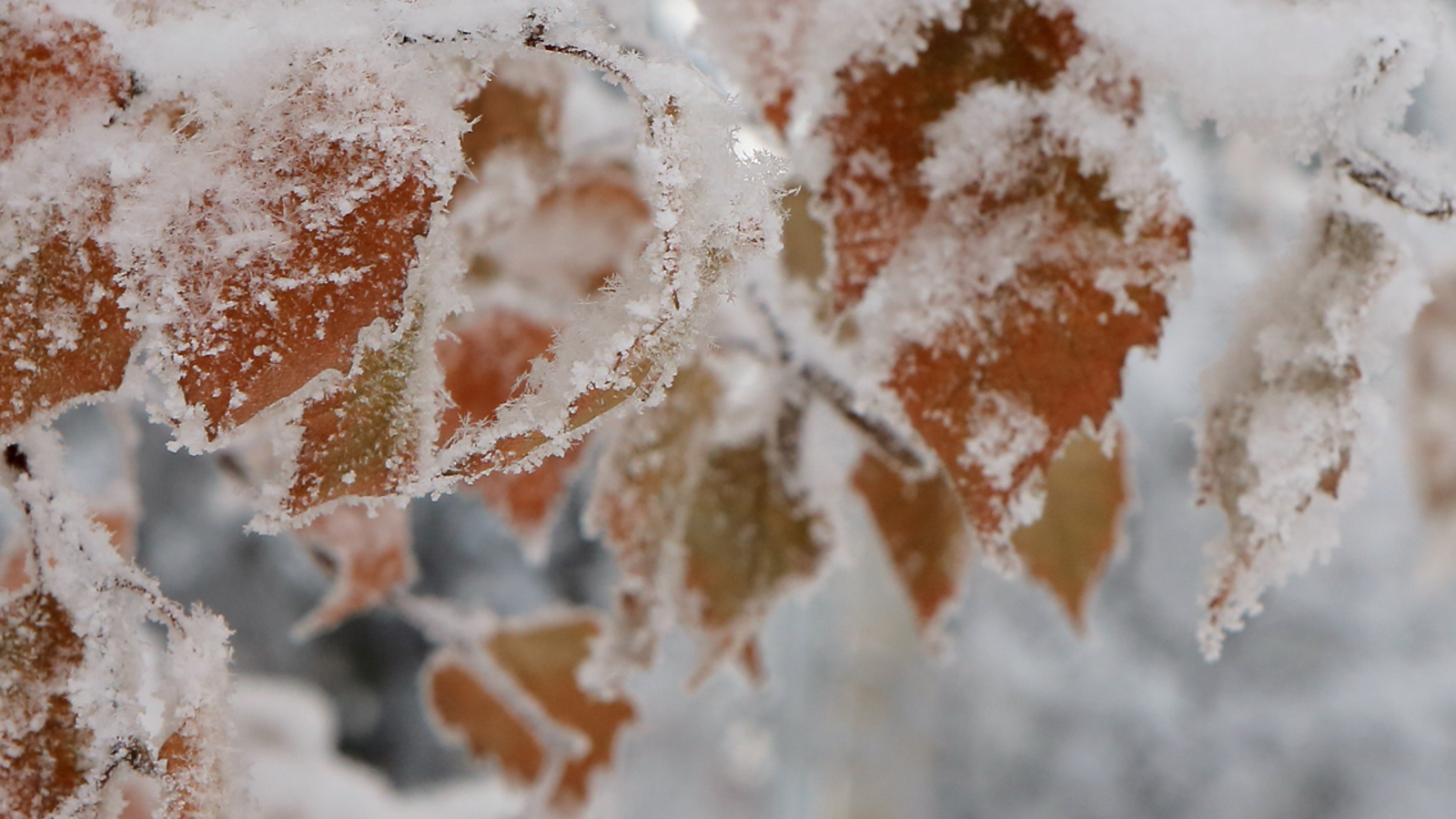 Быйыл ҡар ҡасан яуыр һәм ҡасан ятыр?