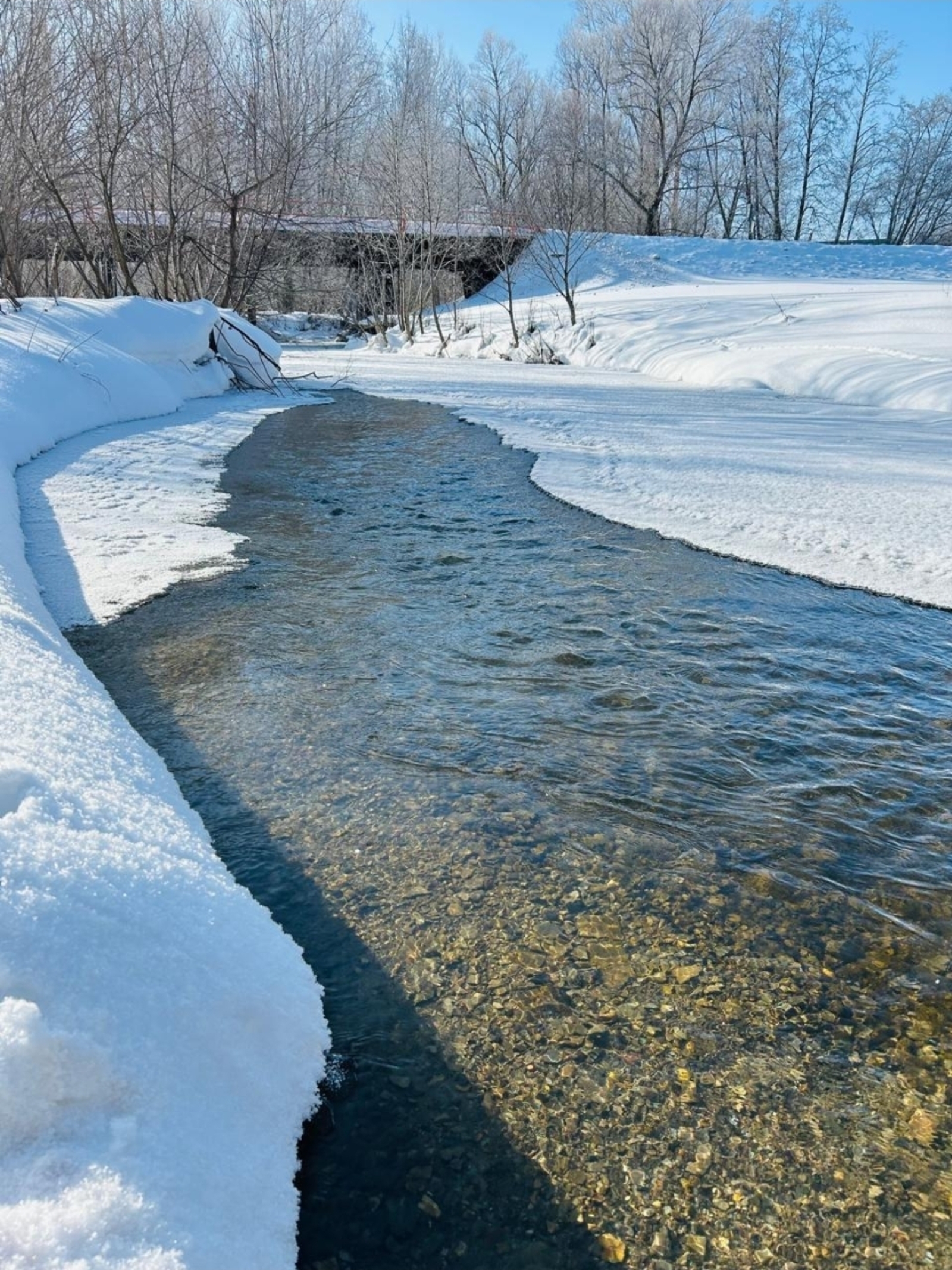 Аномаль йылы килә