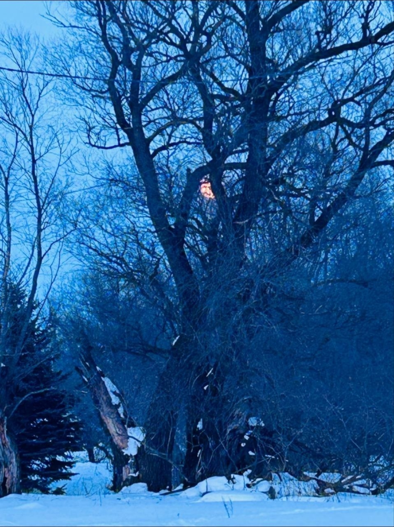 Һауа торошо йүнле түгел