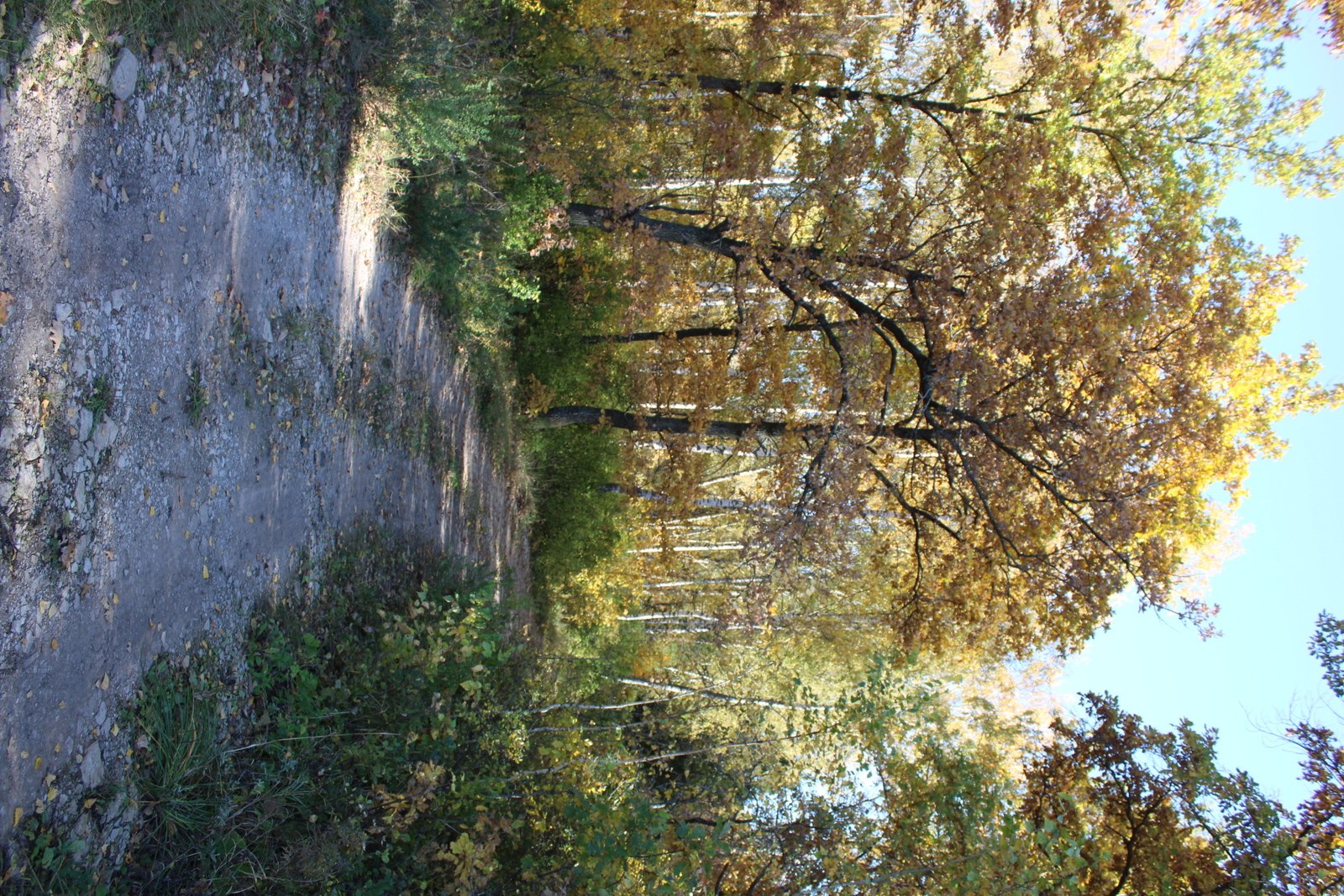 Балаһыҙлыҡ та яза икән...