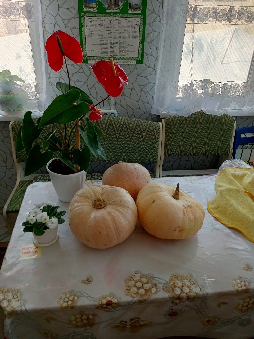 Баҡса емештәренән ҡышҡылыҡҡа нимә генә эшләмәй