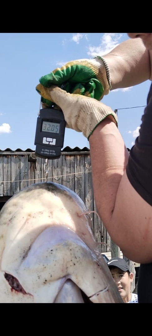 Теге йәйен... йәнә тотолған