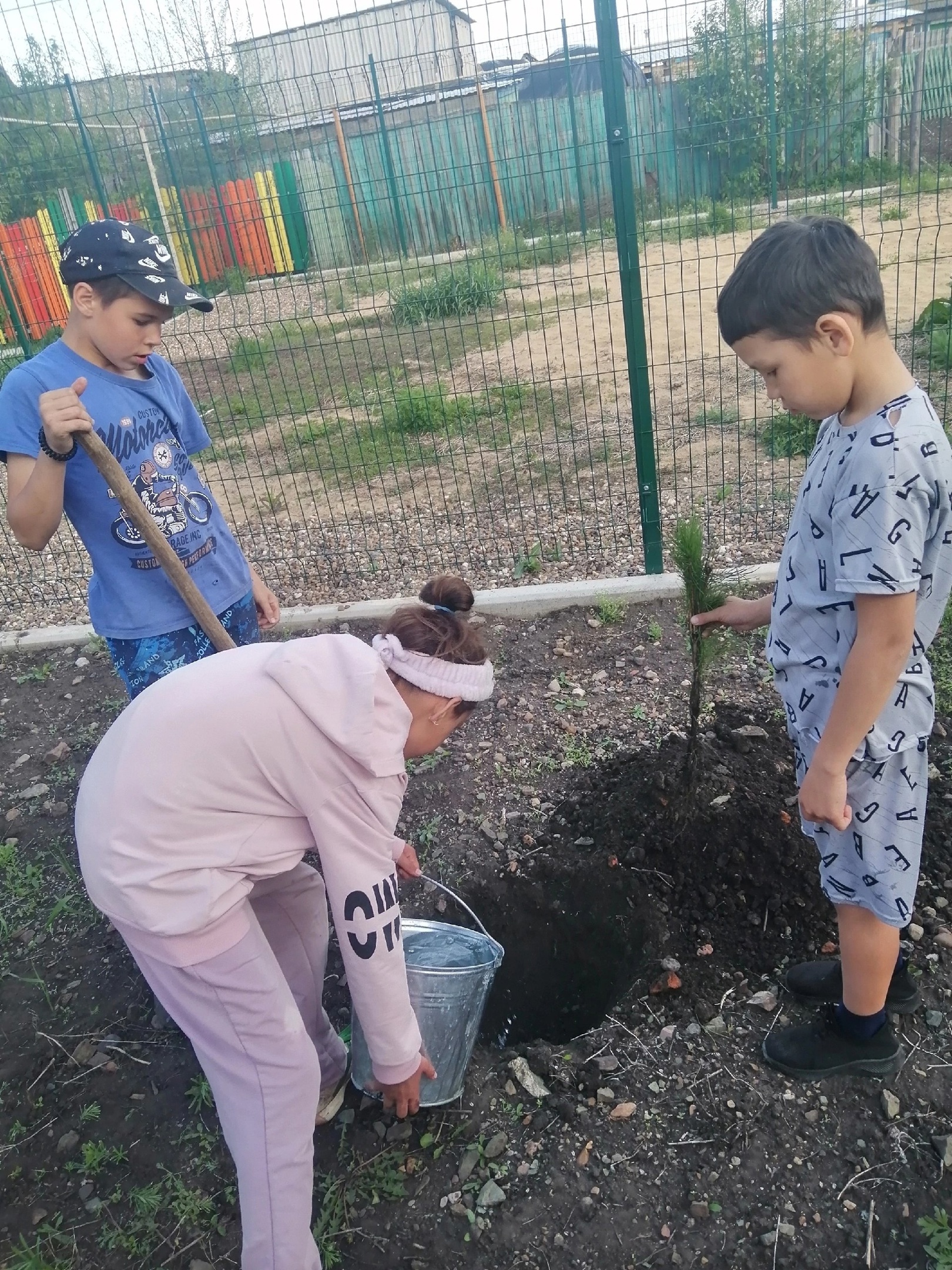 Ике мең өс йөҙ ҡарағай шаулап үҫәсәк