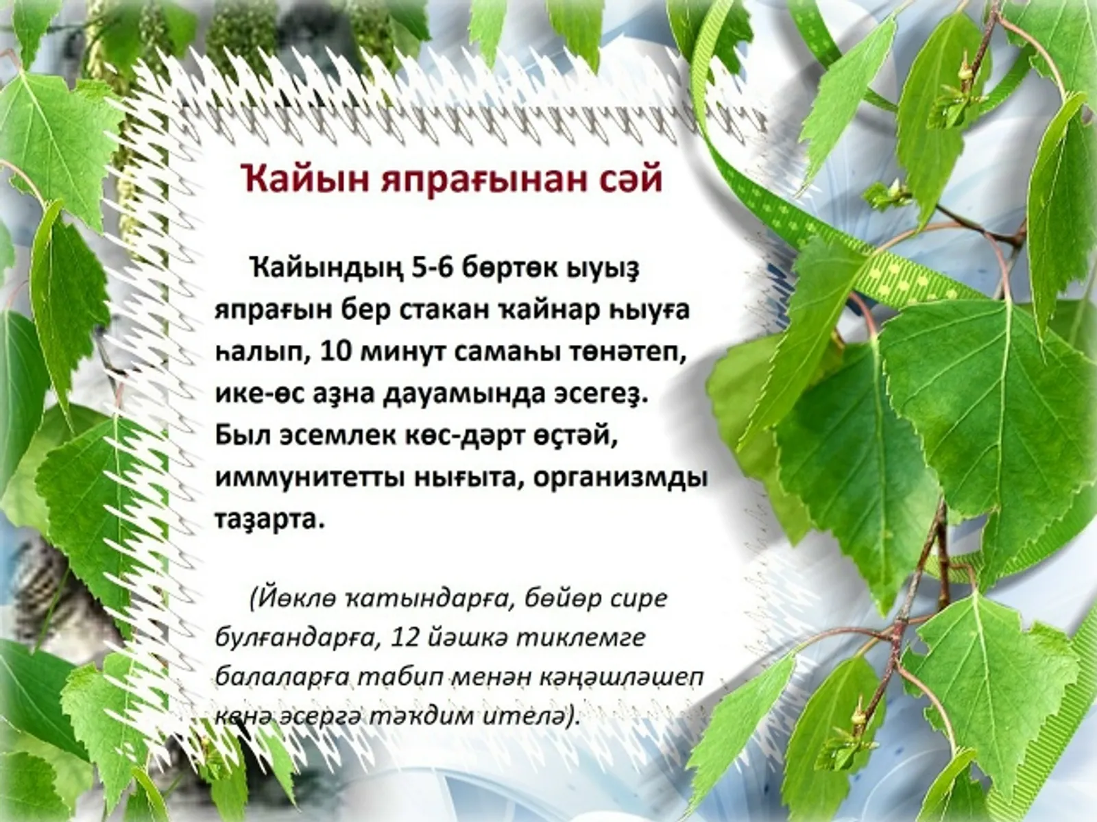 Ҡайын япрағын мәлендә йыйып ҡалығыҙ!