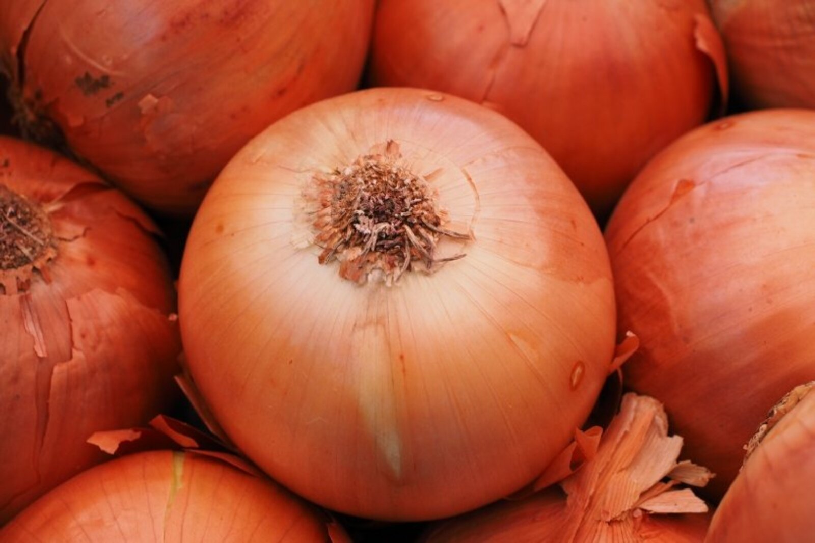 Һуған икенсе йәйгә тиклем серемәйәсәк