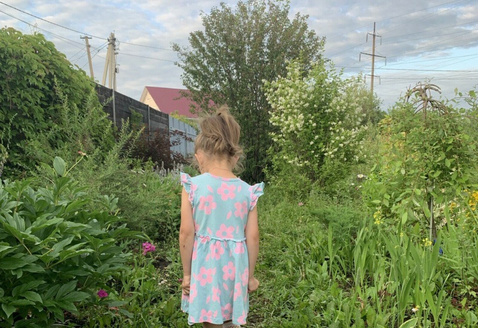 Ейәнсәрем "олатай" тип сәсемдән һыйпағас...