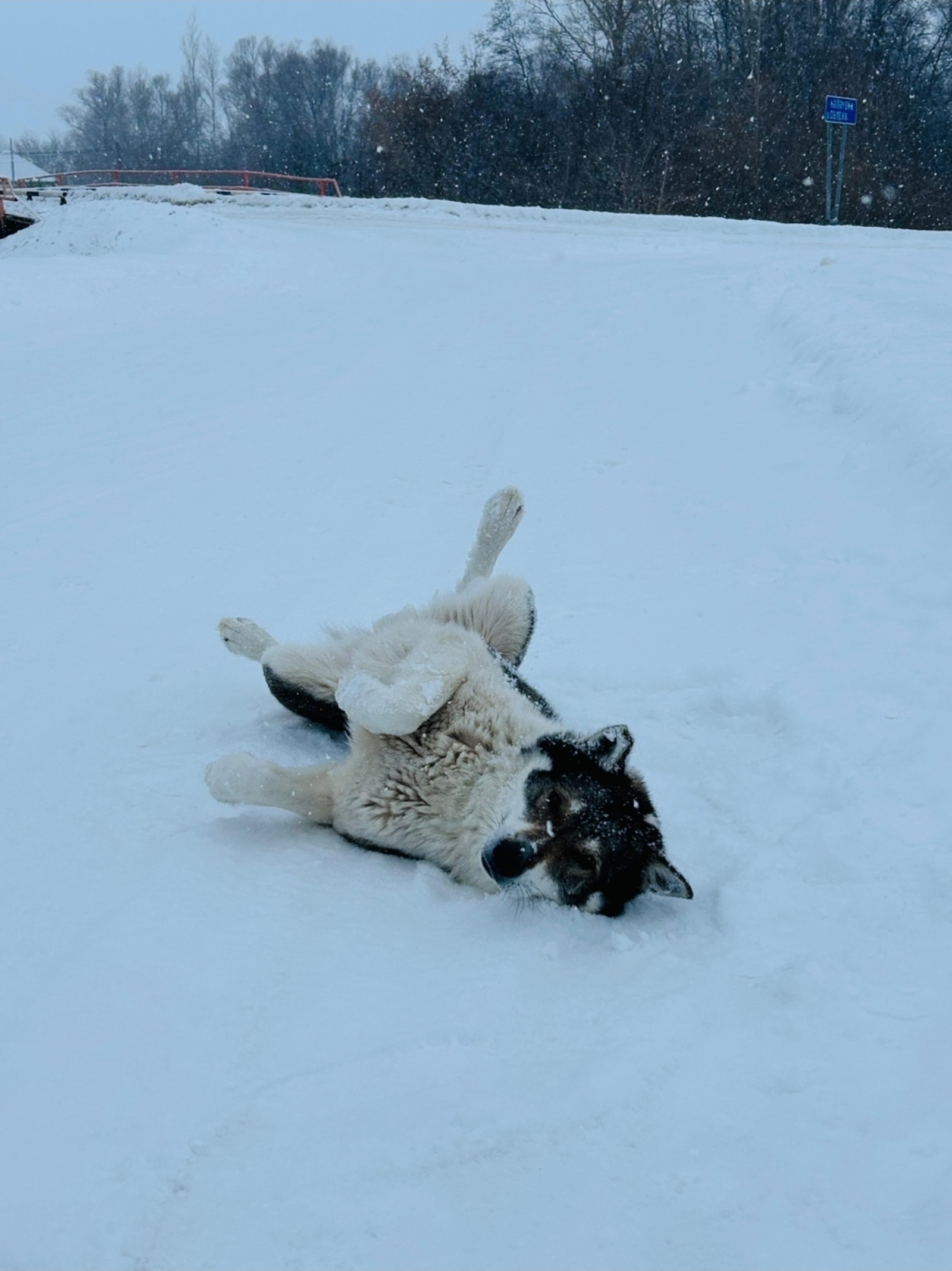 Иғтибар: йәнә аномаль һауа торошо