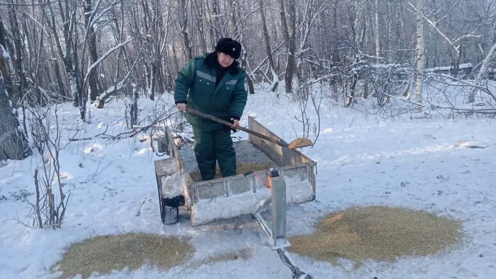 Ҡырағай хайуандар асыҡмаһын өсөн