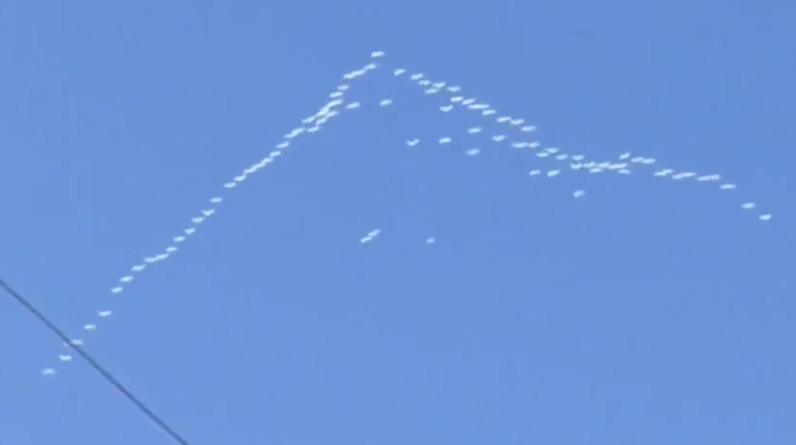 Һаумыһығыҙ, аҡҡоштар – беҙҙең ҡанатлы дуҫтар!