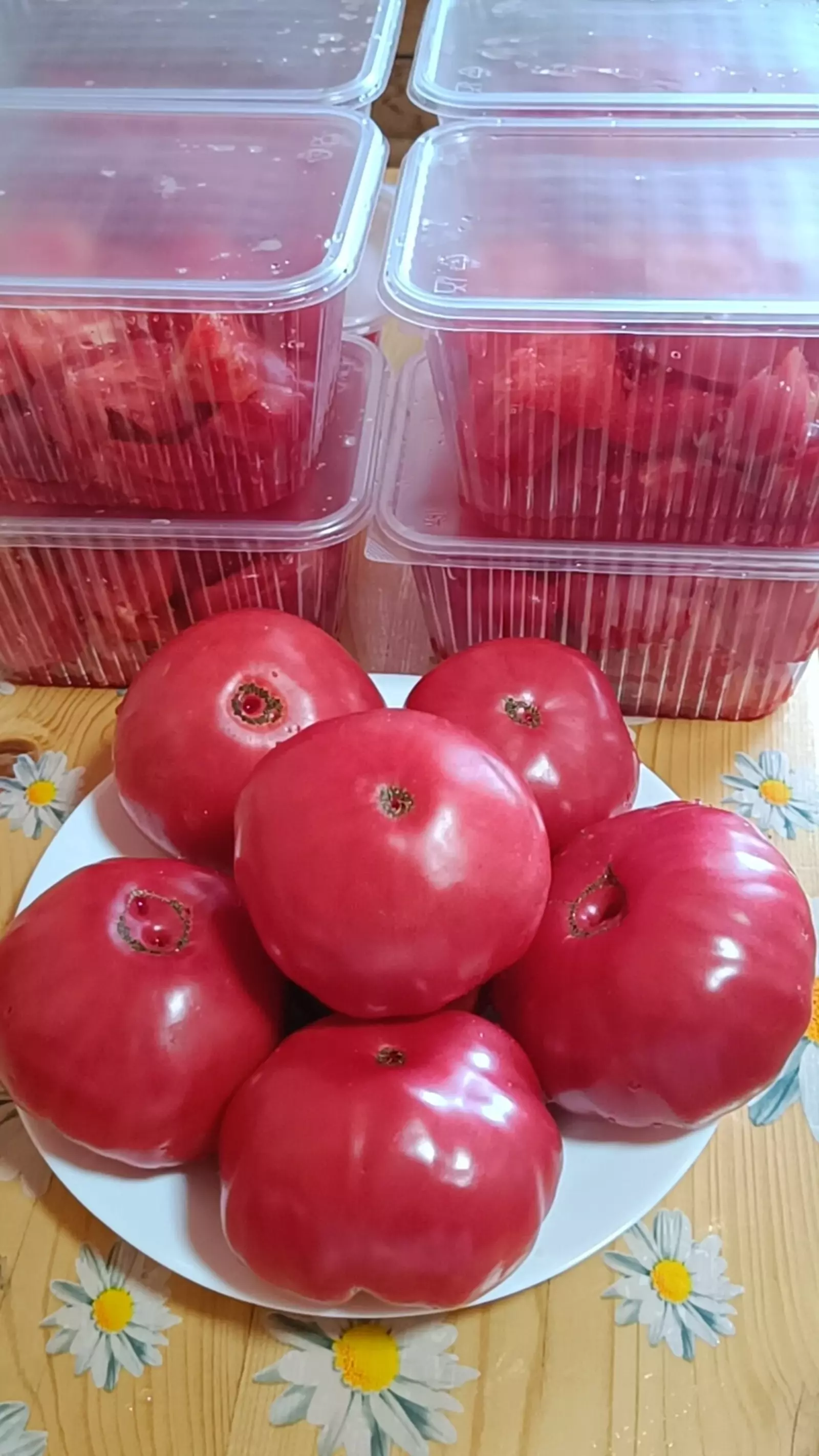 Орлоҡто үҙебеҙ әҙерләйек