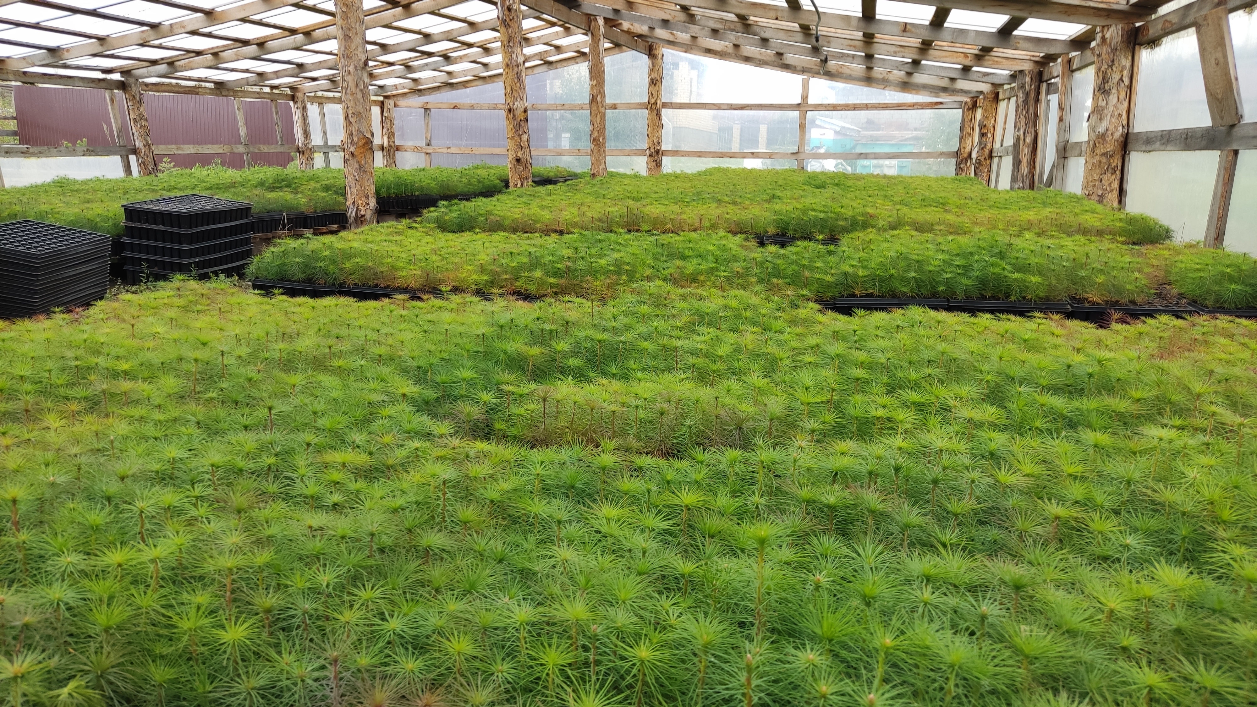 Был шөғөл үҙен аҡлай