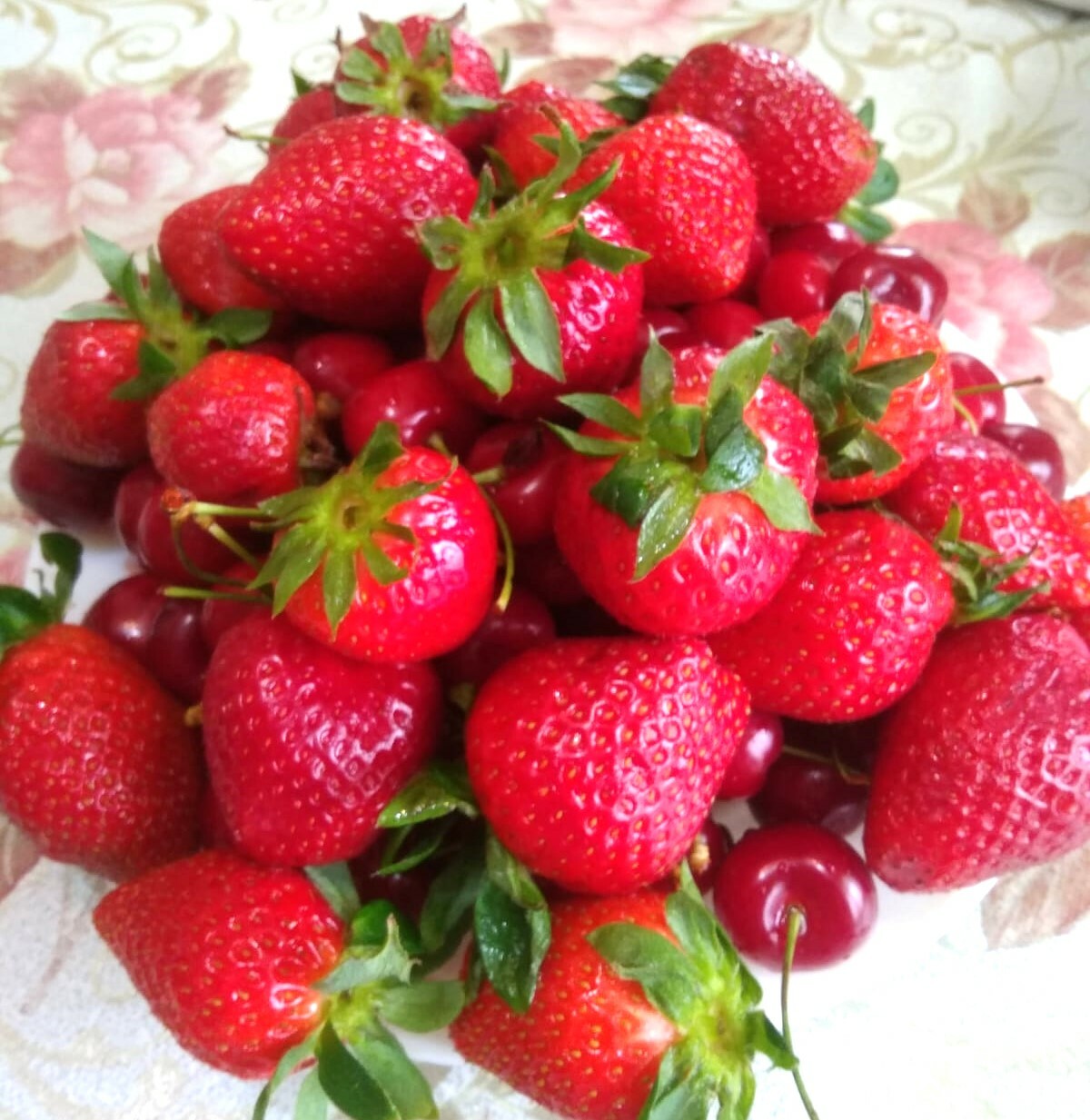 Баҡса еләген туҡландырырға ваҡыт