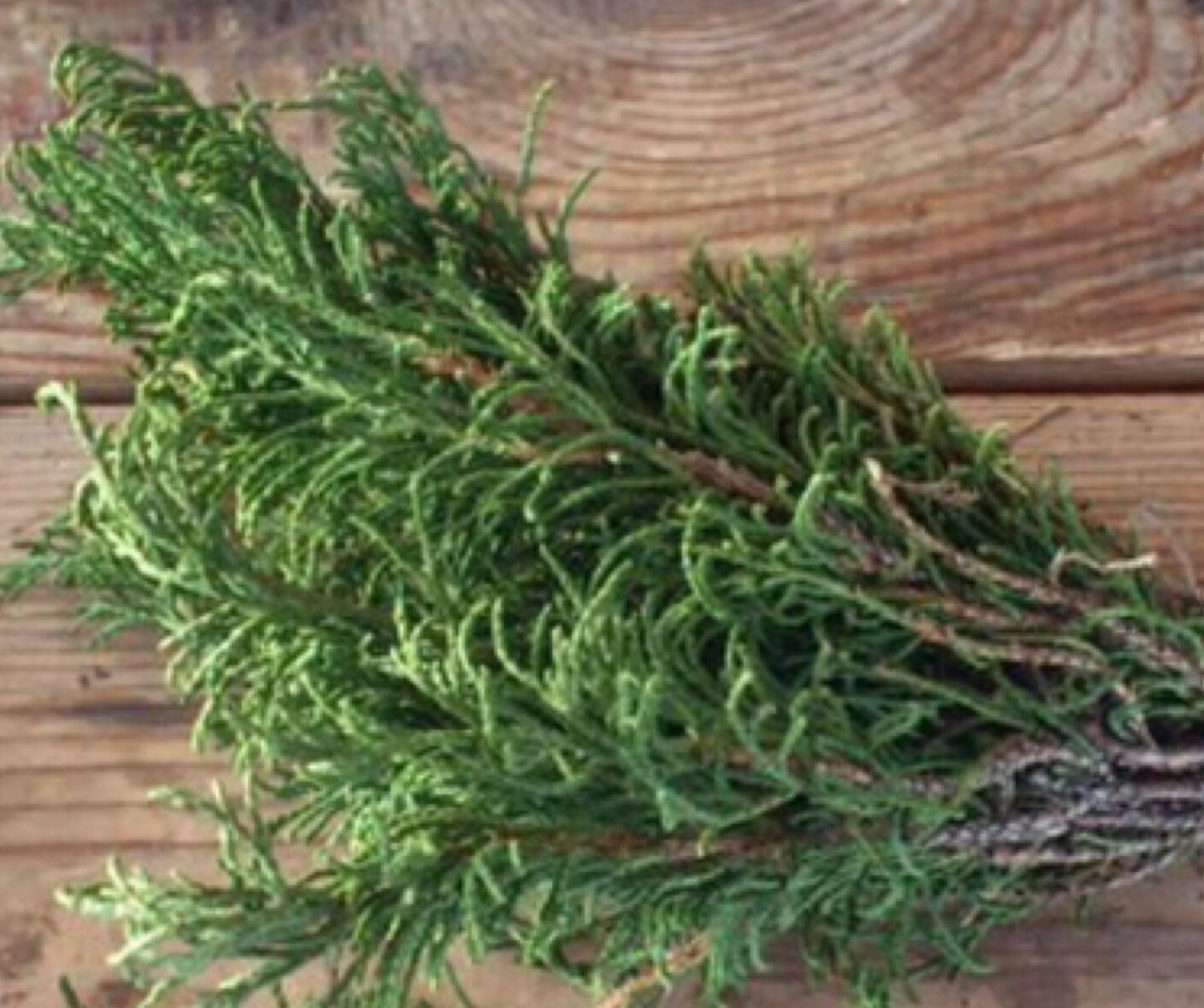 Өйҙө нисек һәм ни өсөн төтәҫләйҙәр?