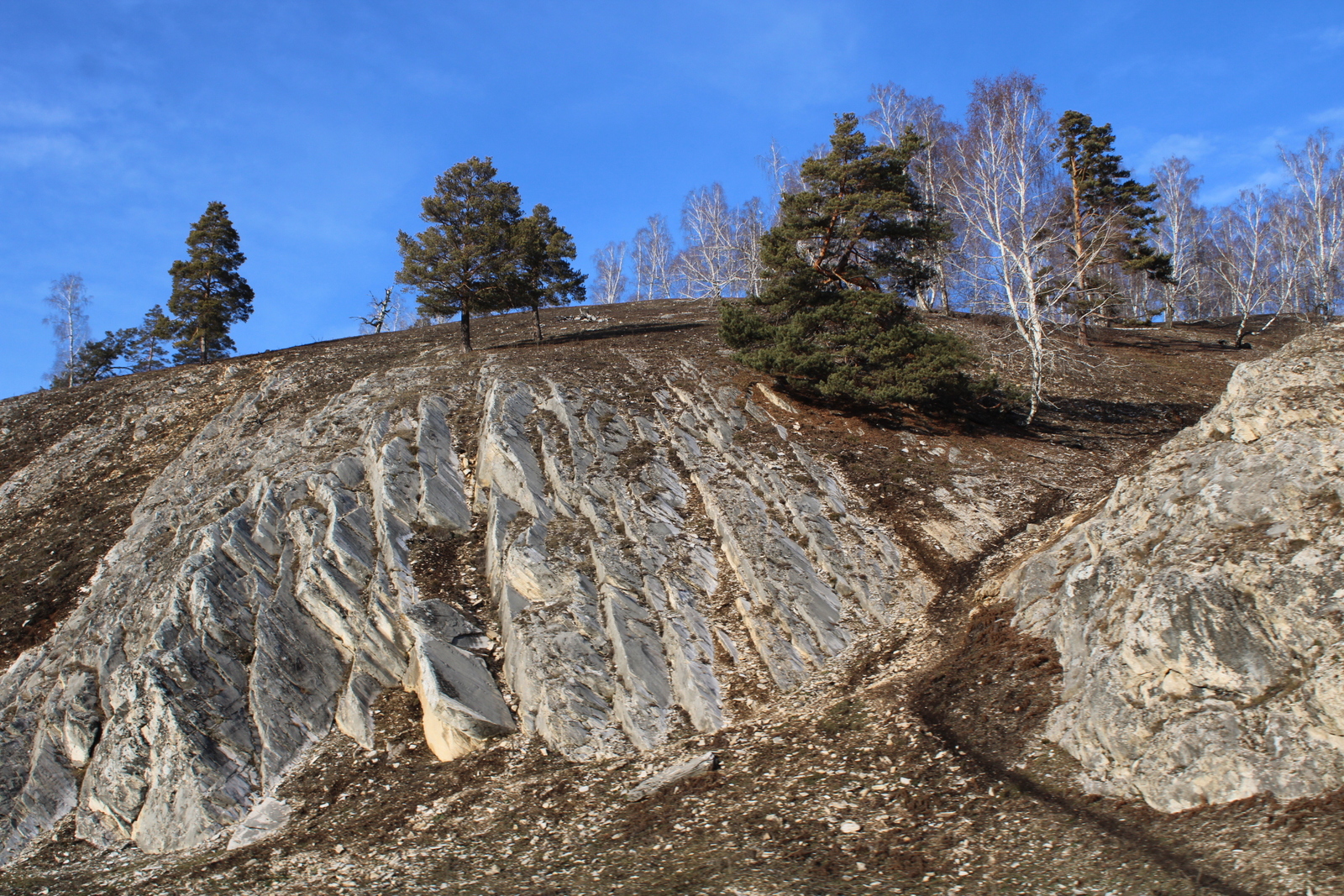 Ирен һанламай ҡотороп  сығып киткәйне лә ул...