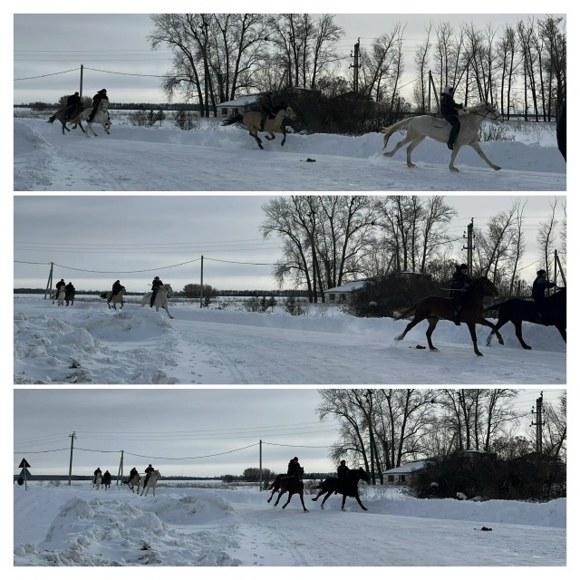 Ҡышҡы һабантуй үтте