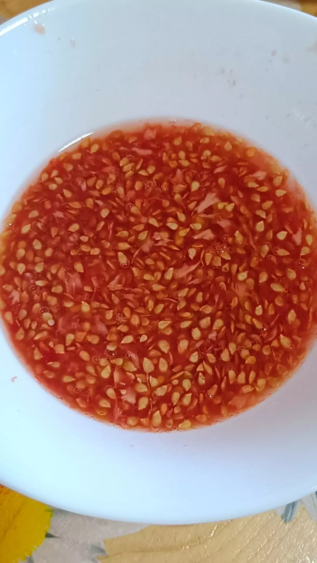 Орлоҡто үҙебеҙ әҙерләйек