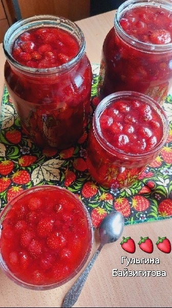 Баҡса еләге ҡайнатмаһы