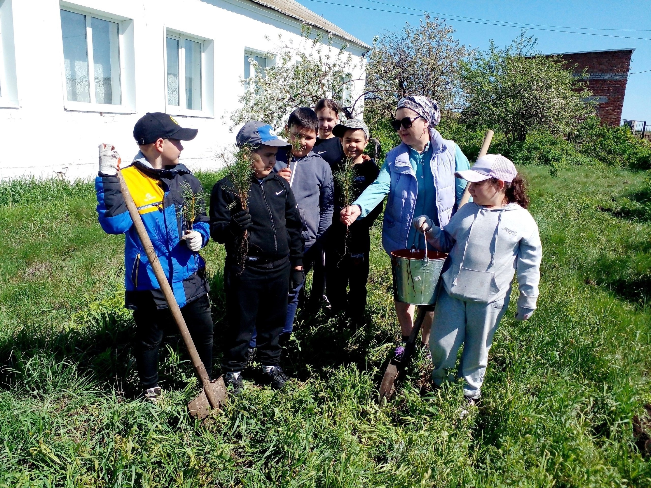 Ике мең өс йөҙ ҡарағай шаулап үҫәсәк