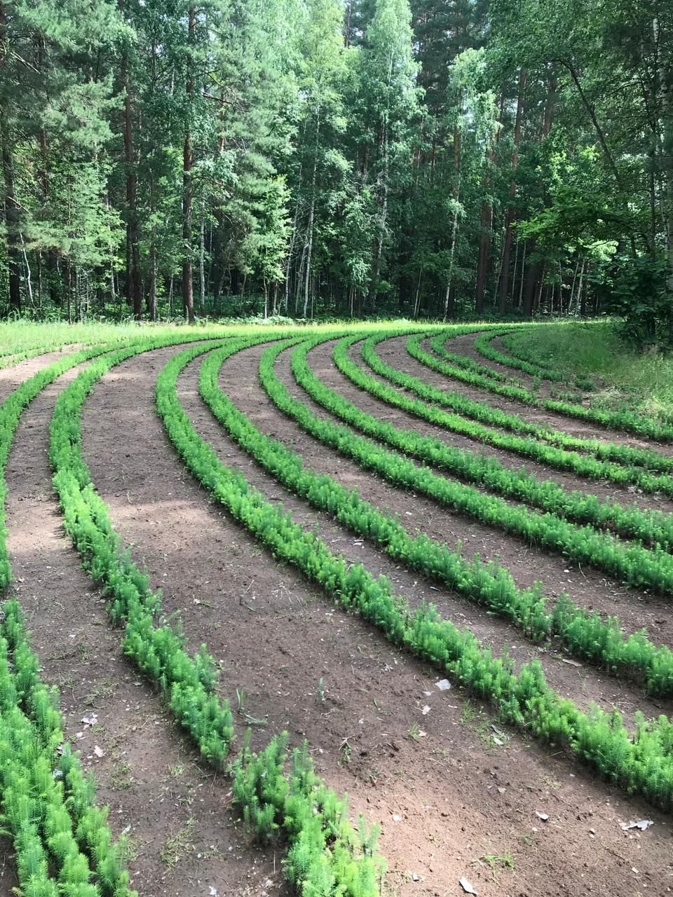 Байрам менән, урман хужалығы эшсәндәре!