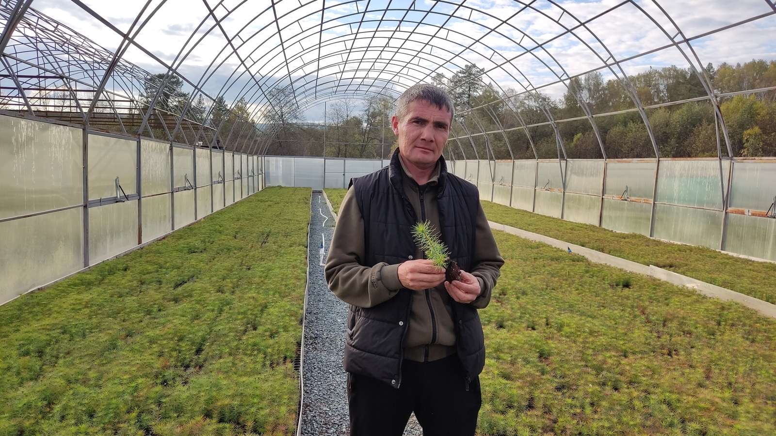 Иң яҡшы питомник Марселдә