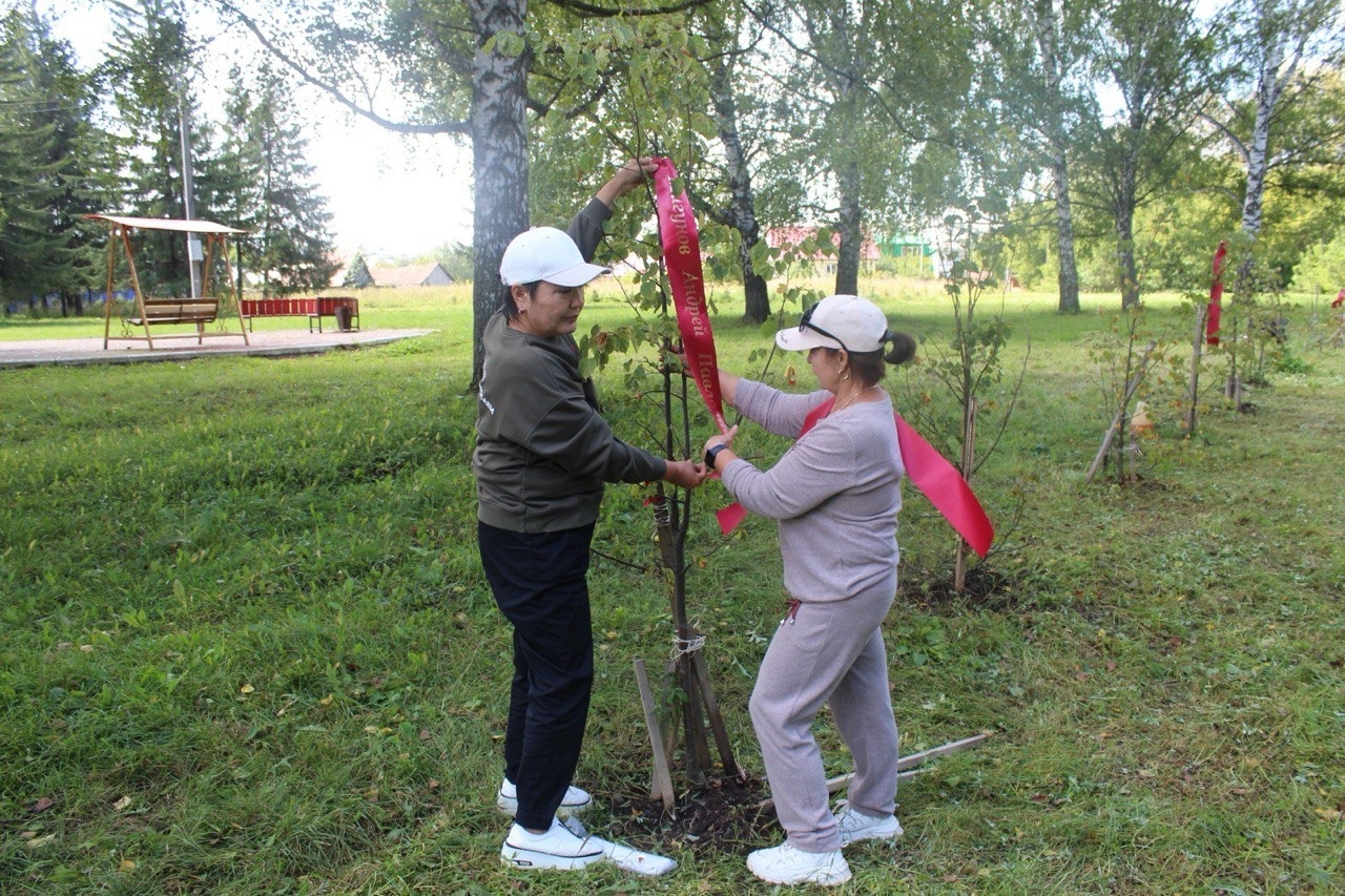 Бер кемде лә иғтибарҙан һәм ярҙамдан ситтә ҡалдырмай