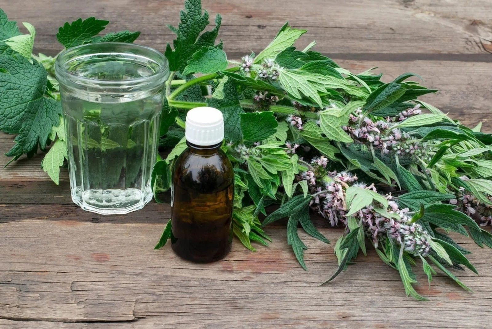 Нисек итеп юғары ҡан баҫымын төшөрөргә?