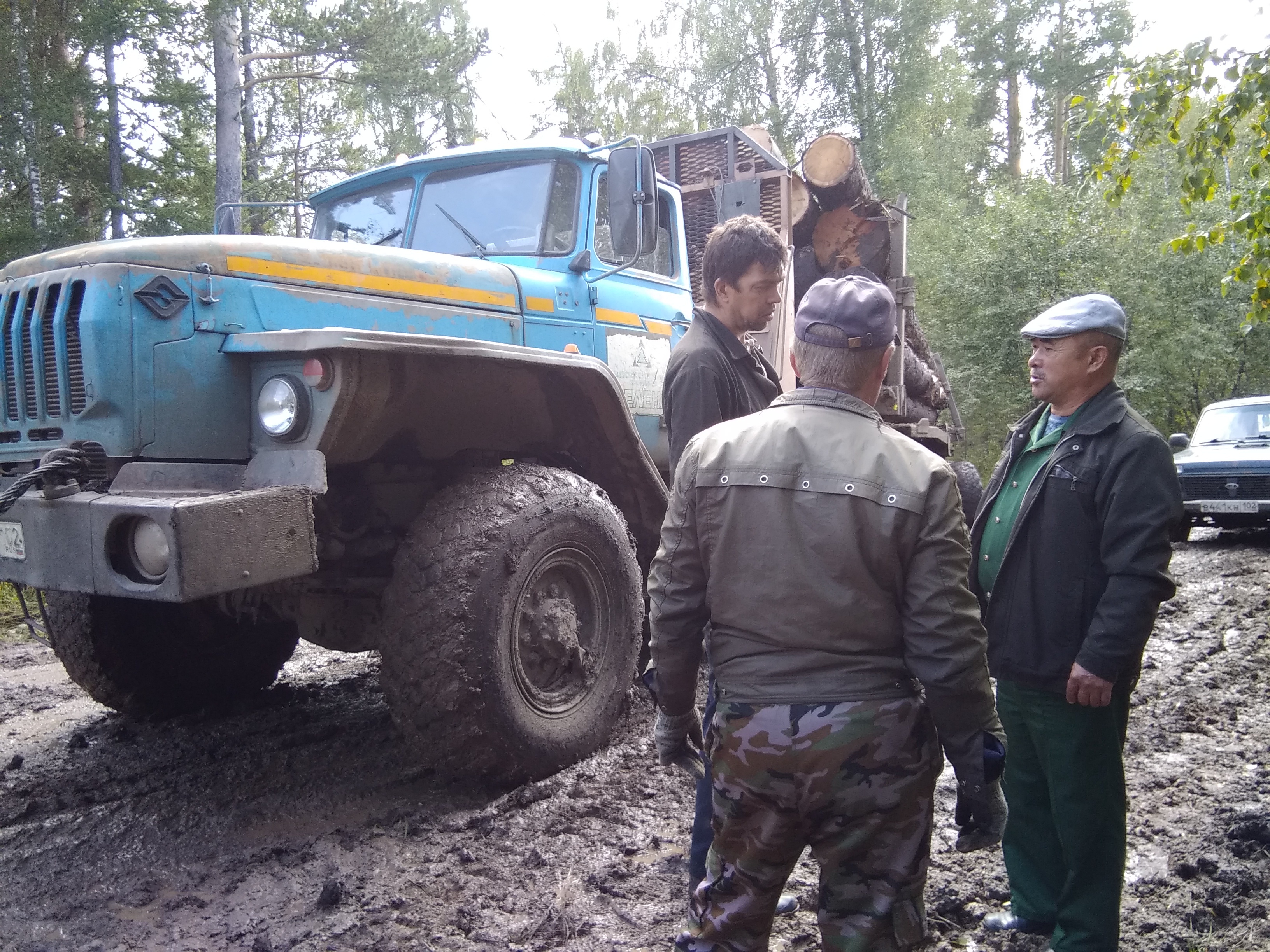 Урман – ышаныслы ҡулдарҙа