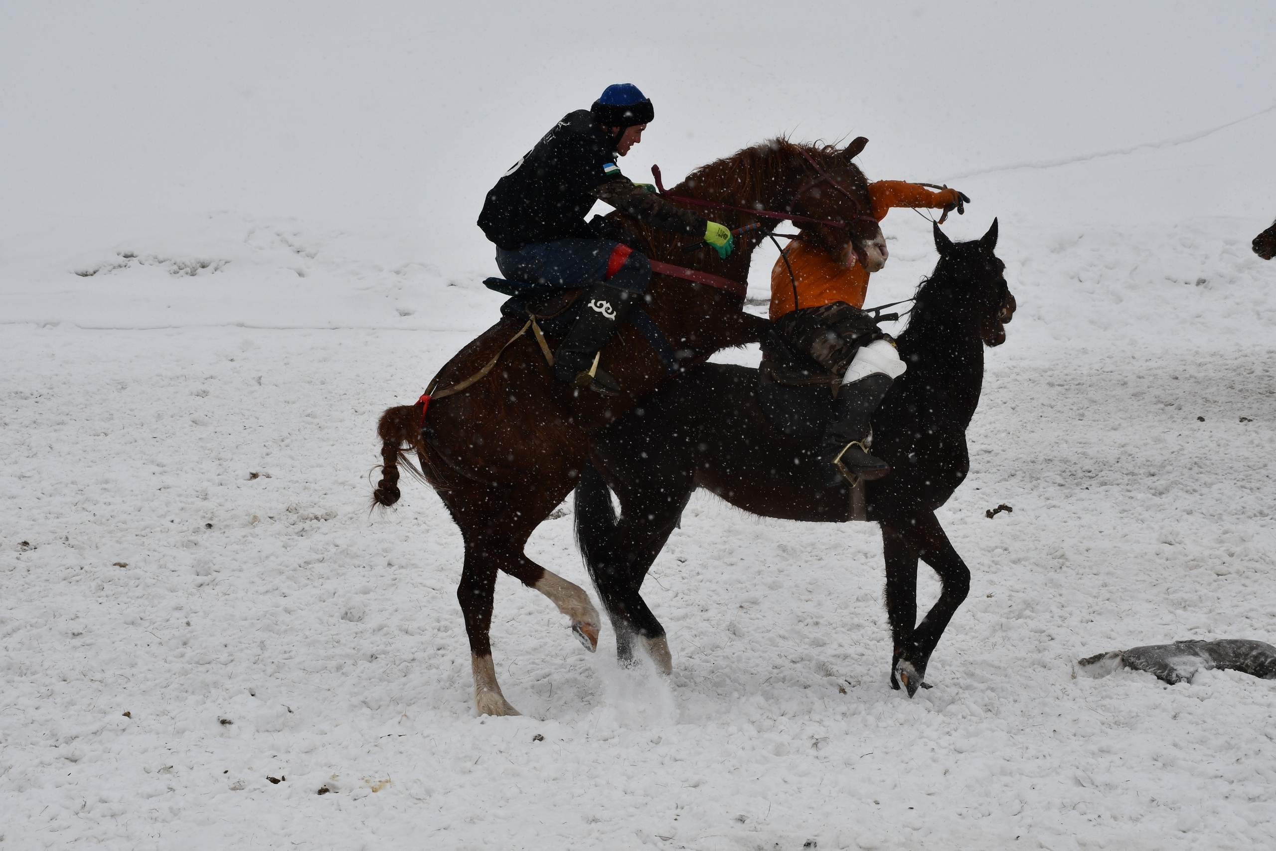 Тай бүләк иттеләр