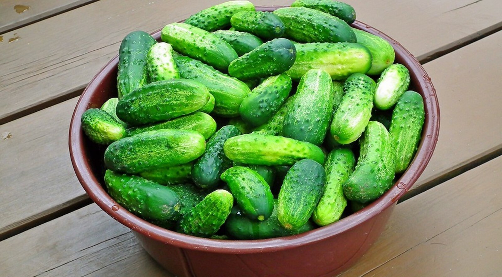 Нисек ҡыярҙы бер ай буйы һыуытҡыста һаҡларға?