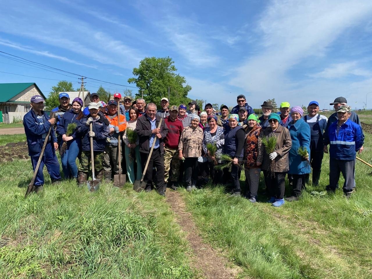 Ике мең өс йөҙ ҡарағай шаулап үҫәсәк