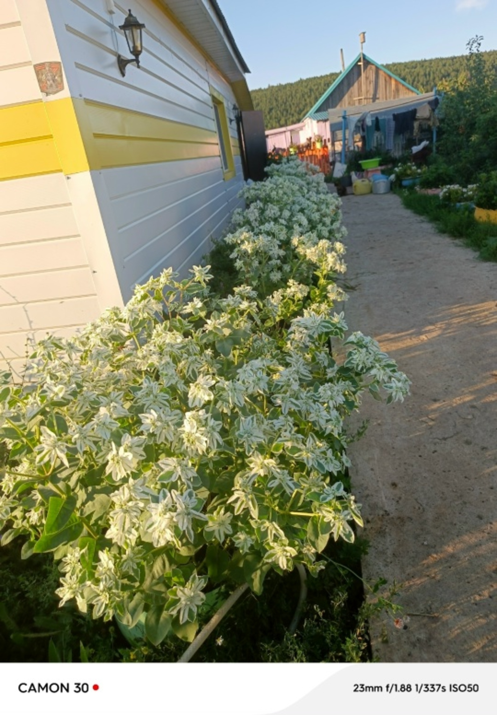 “Иремдең хөрмәтенә ултыртҡайным..."