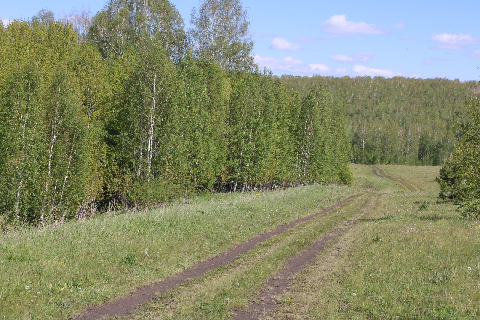 Ҡәйнәмде ҡарауҙы миңә япһарҙылар