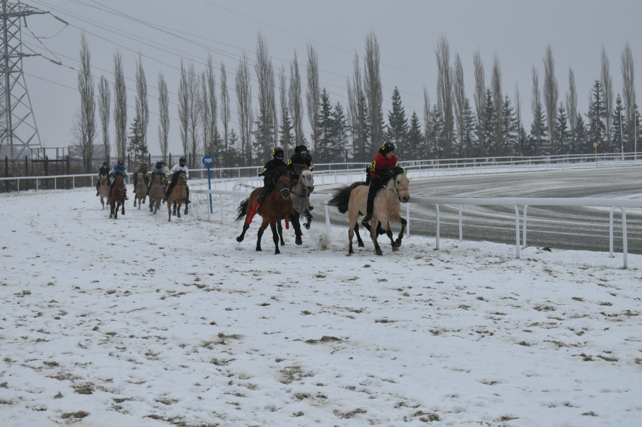 "Аҡбуҙат" ипподромына ярҙам кәрәк