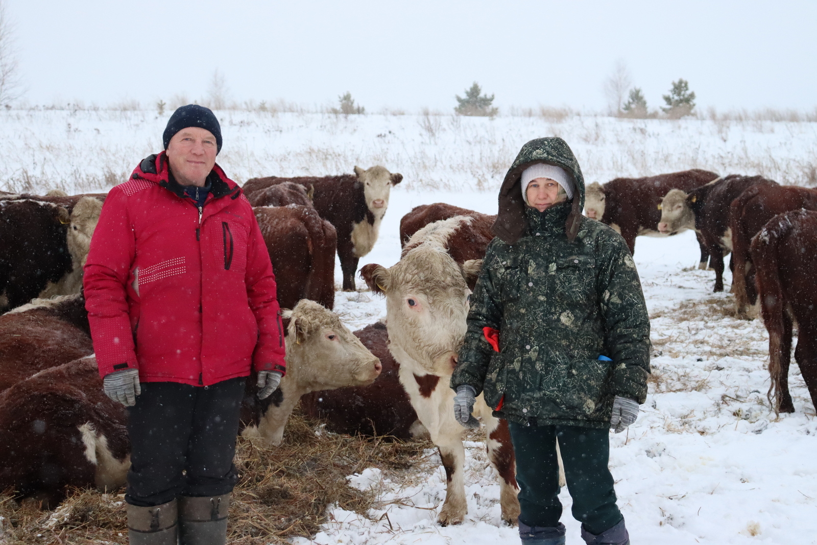 Ит кәрәкһә, килегеҙ!