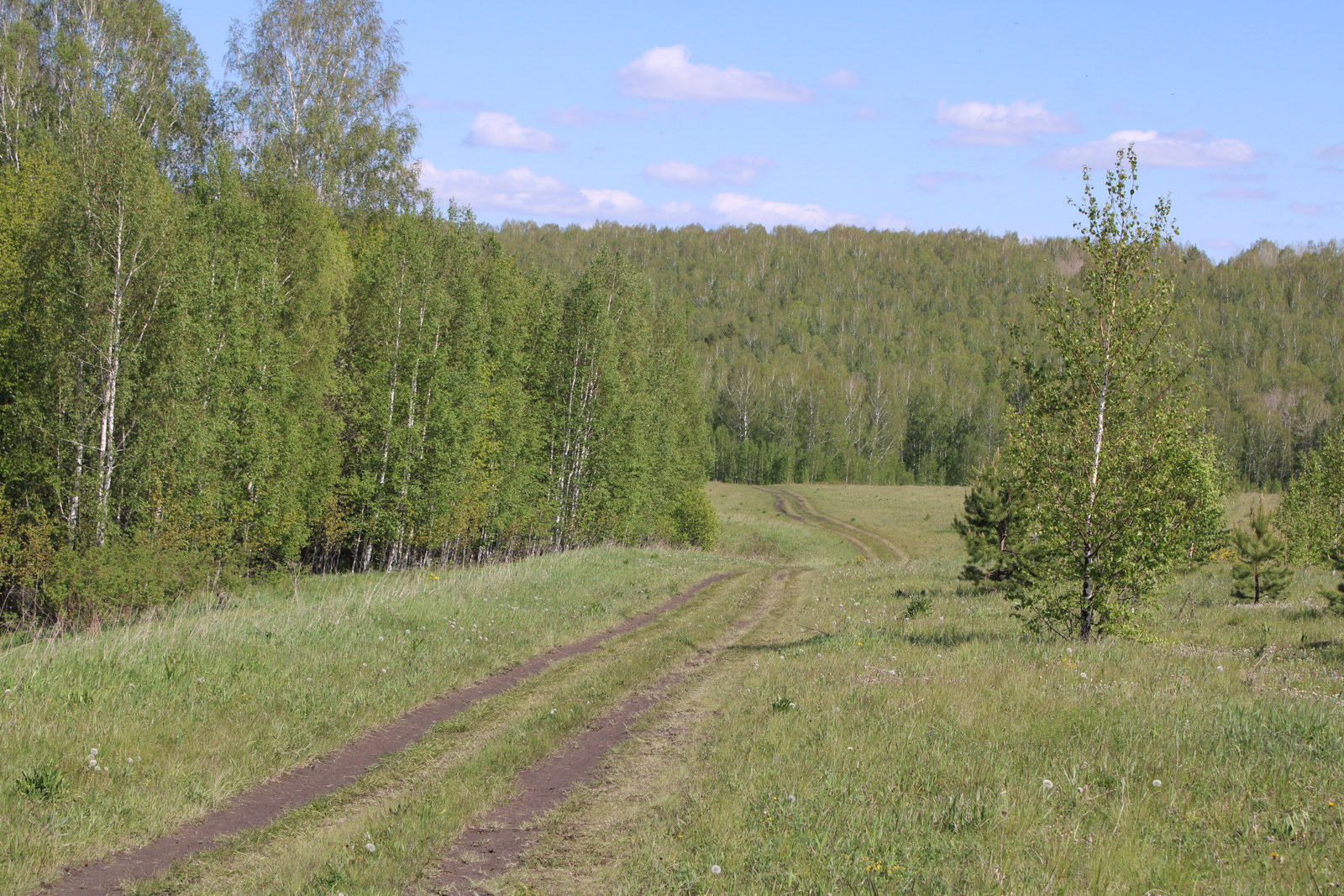 "Был балаң минеке түгел! Йәш саҡтағы егетең Таһирға оҡшап тора"