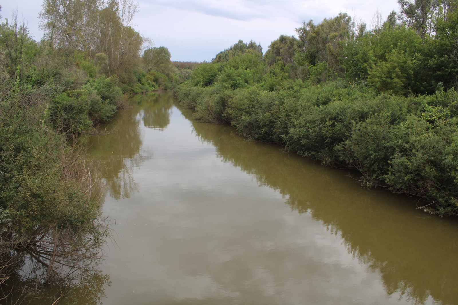 Әсәһе иҫән сағында эскенән арына алмауына үкенде