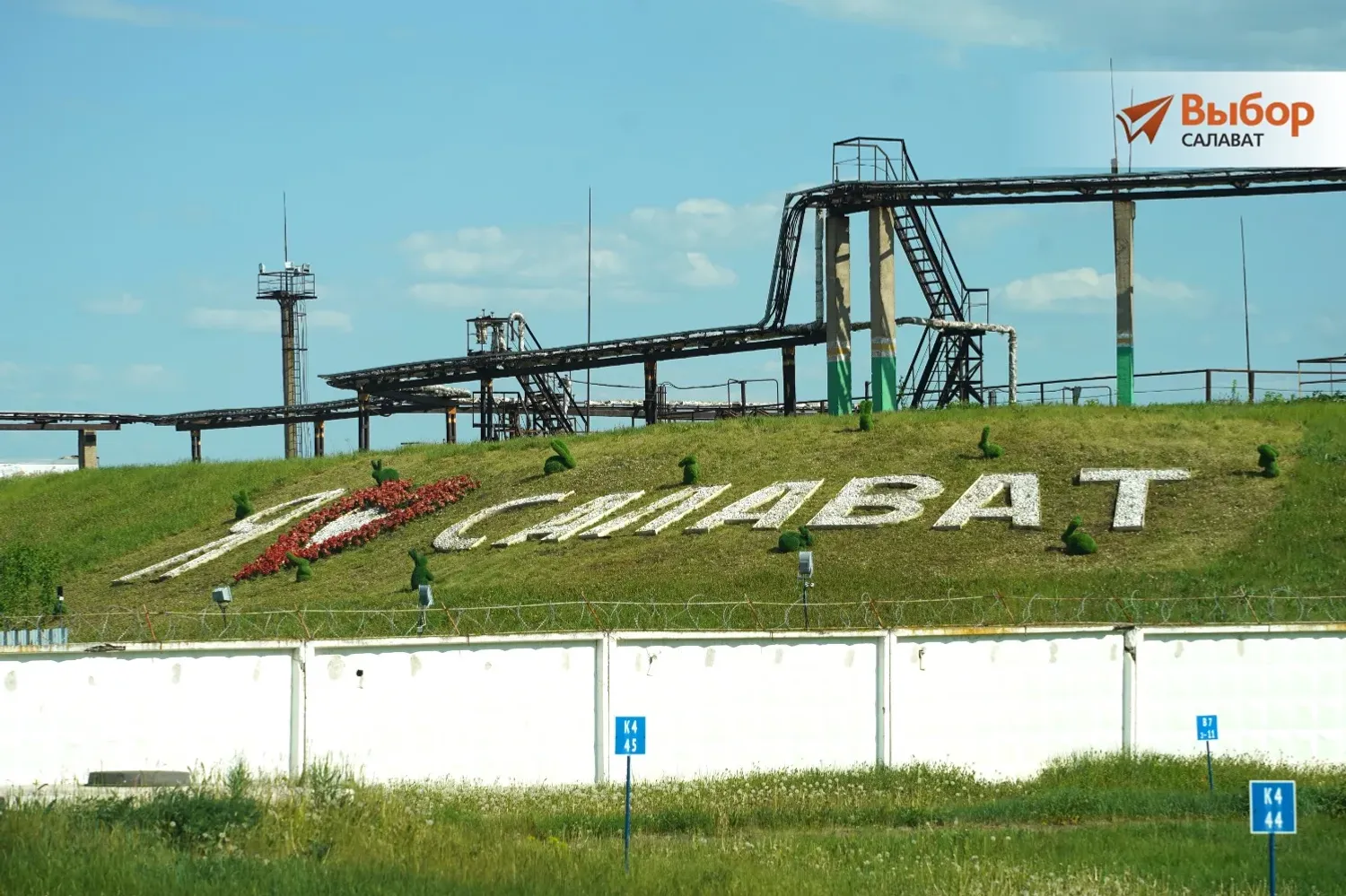 Бөрйән айыуҙары Салауатҡа килгән...