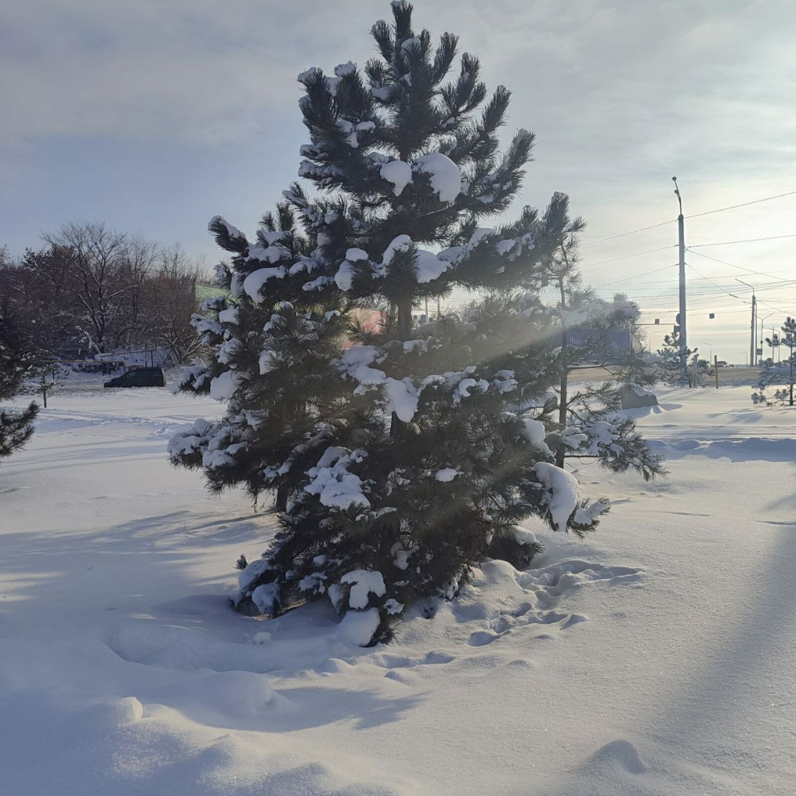 Көслө ҡарлы циклон яҡынлай