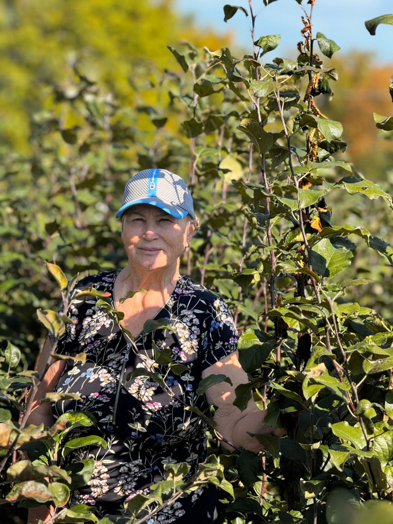 Ағас ултыртыу серҙәре менән танышығыҙ